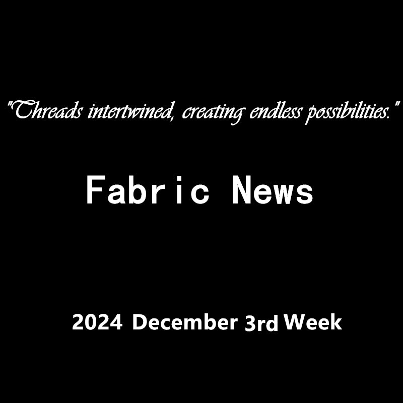 Fabric News for the 3rd Week of December 2024